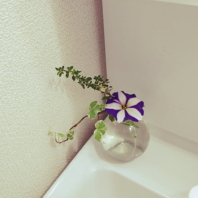 katuさんの実例写真