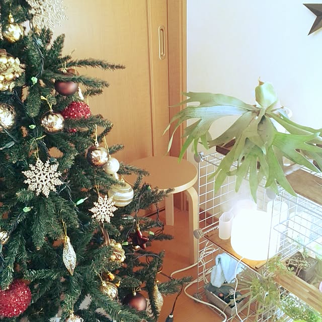ebimasaさんの実例写真