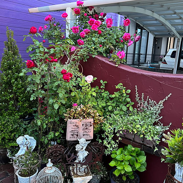 AYUKOさんの実例写真