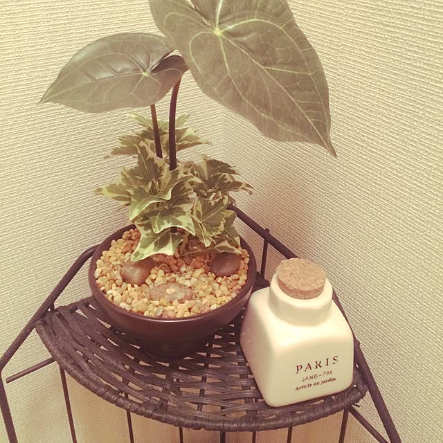 hachuさんの実例写真