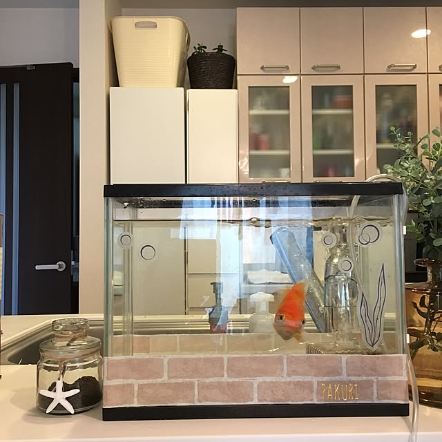 gappeさんの実例写真