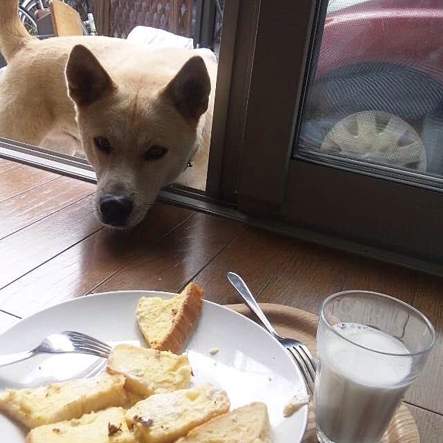 mugiinaさんの実例写真