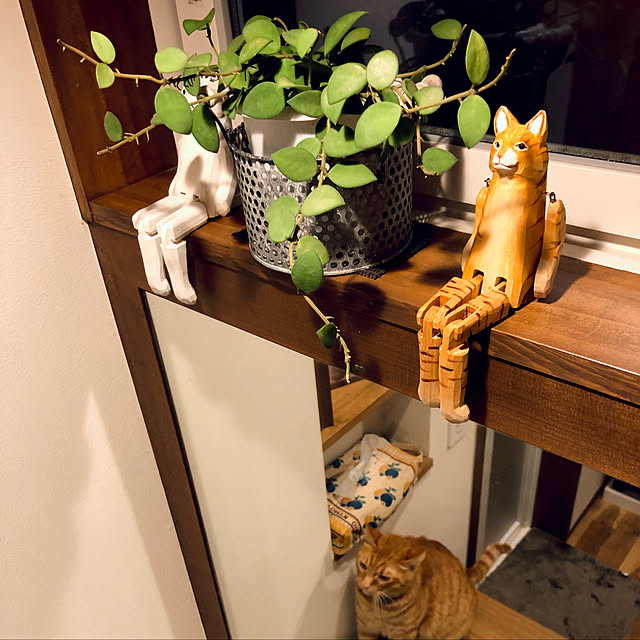Maruさんの実例写真