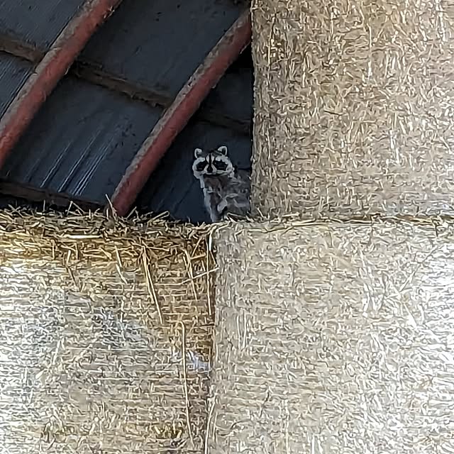GINさんの実例写真