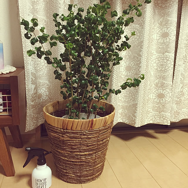 Yukinaさんの実例写真