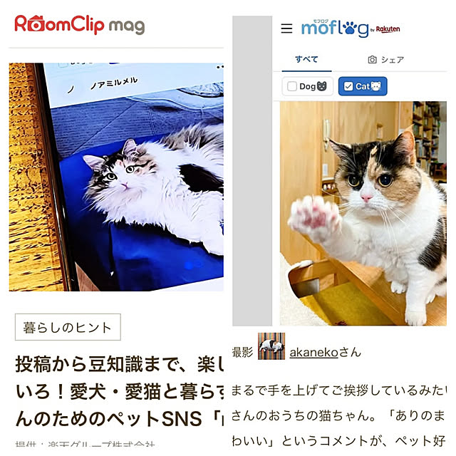 akanekoさんの実例写真