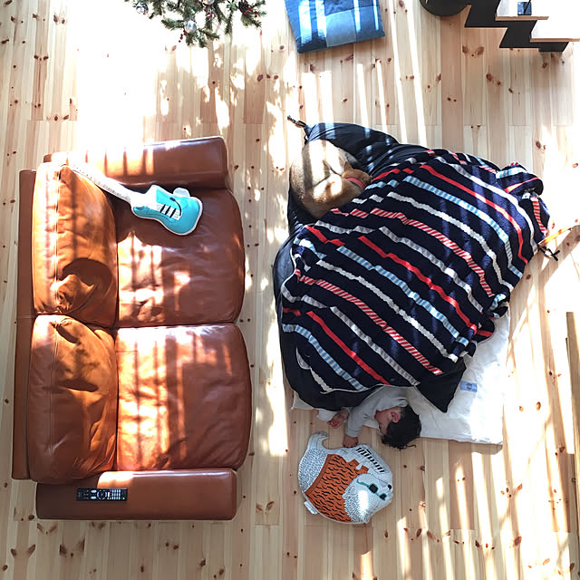 unkawさんの実例写真