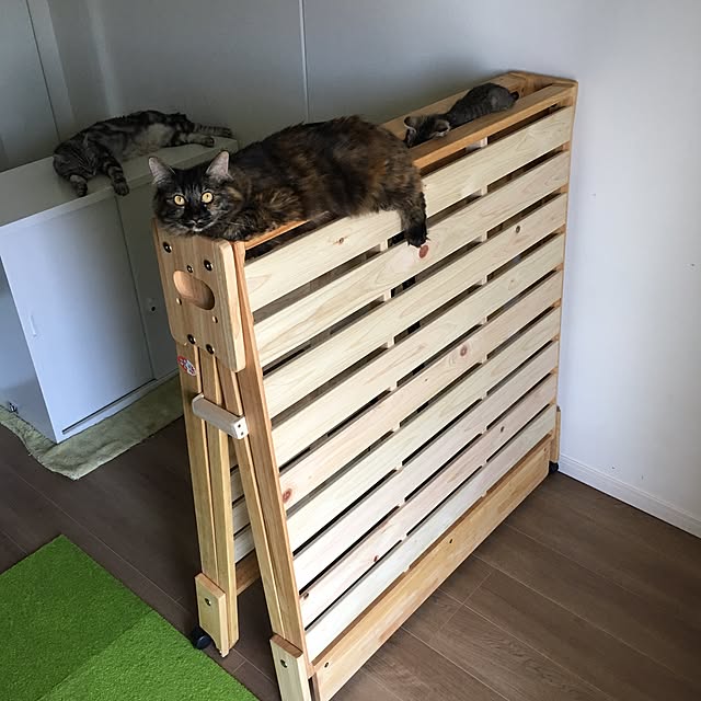 mikomaruさんの実例写真