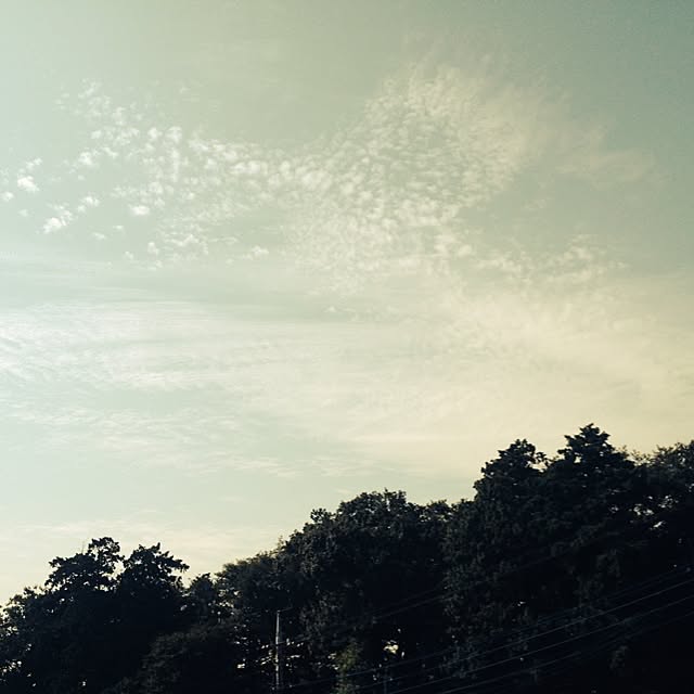 omoideinmy45さんの実例写真