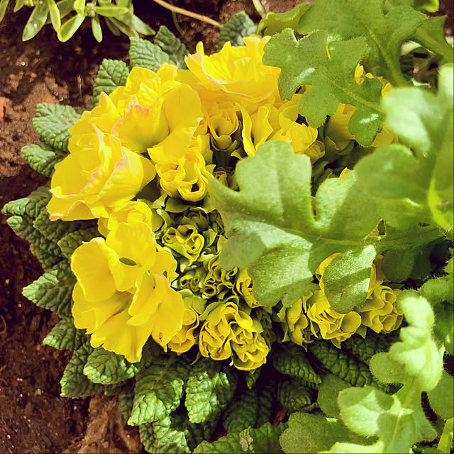 tomoさんの実例写真