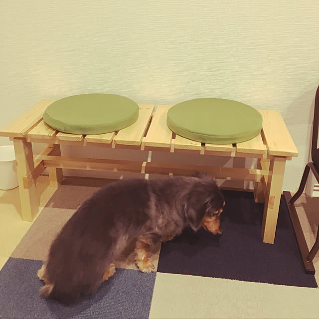 otsutaudonkoさんの実例写真