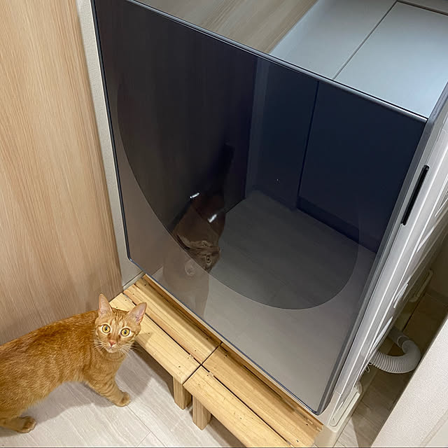 買ってよかったもの/猫のいる暮らし/猫/生活感のある家/イベント用...などのインテリア実例 - 2020-11-30 23:35:17