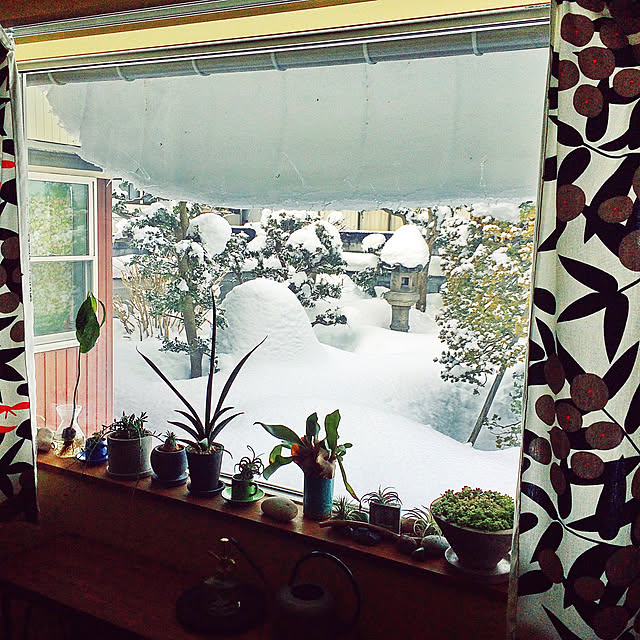 1616roomさんの実例写真