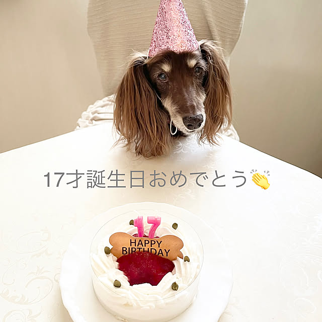 choco-curiさんの部屋