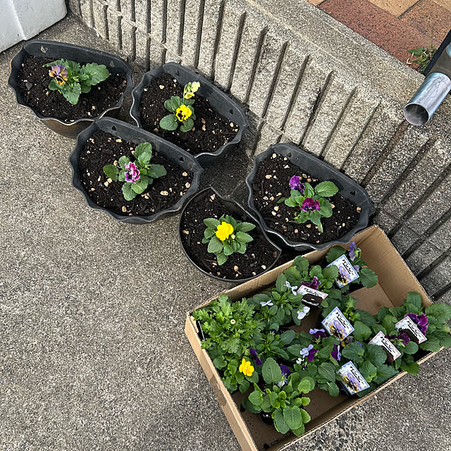 ritsukoさんの実例写真