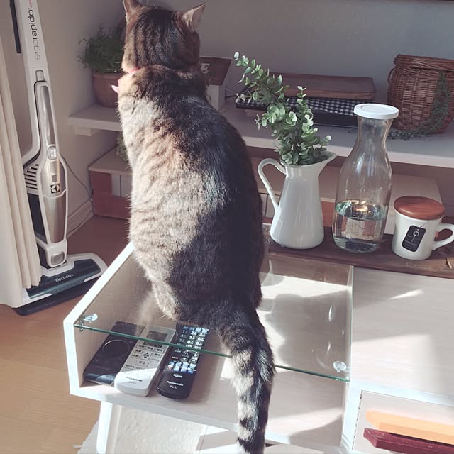 lovecatさんの実例写真