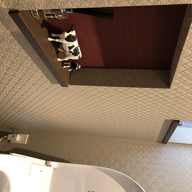 雑貨/バス/トイレのインテリア実例 - 2019-10-25 11:53:08