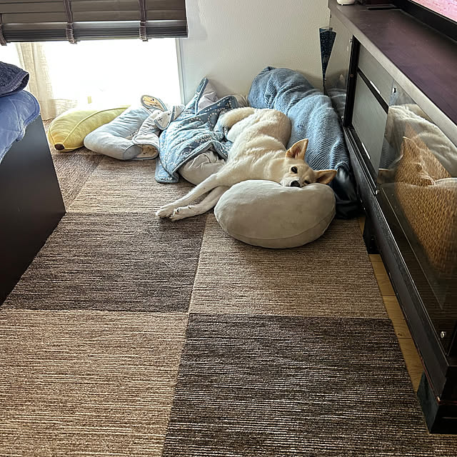tanboさんの部屋