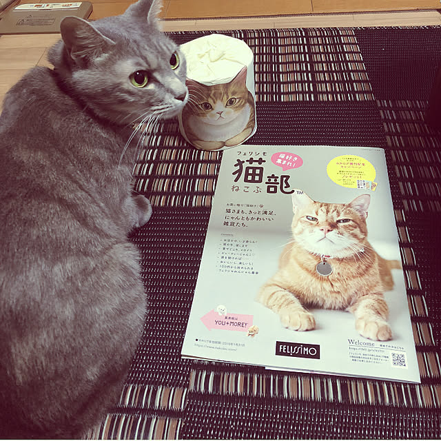 naworinさんの実例写真