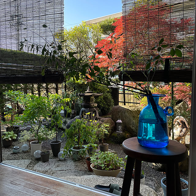 shin0719さんの実例写真