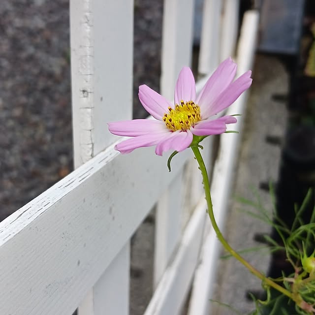 aiさんの部屋