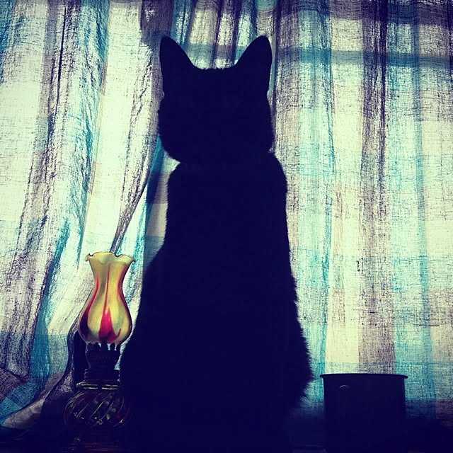 UGOさんの実例写真
