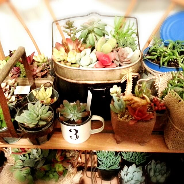 zappa_968さんの実例写真