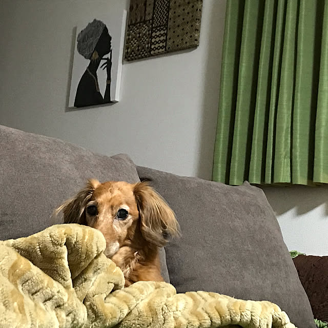 MIUさんの実例写真