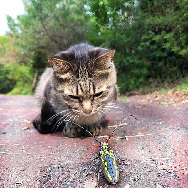 weさんの実例写真