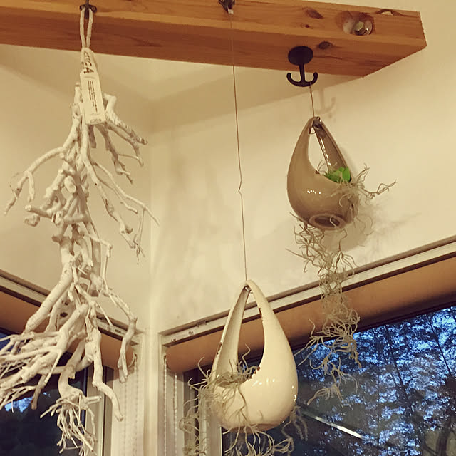 yunatsutakuさんの実例写真