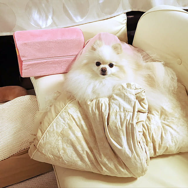 ma_ki1022さんの実例写真