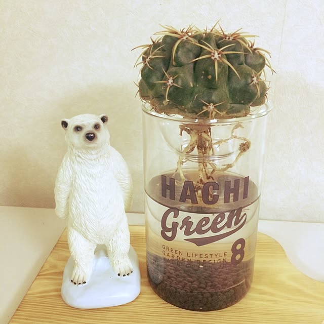 chimさんの実例写真