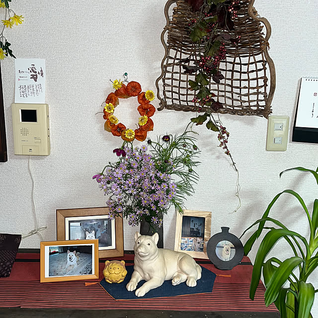 ritsukoさんの部屋