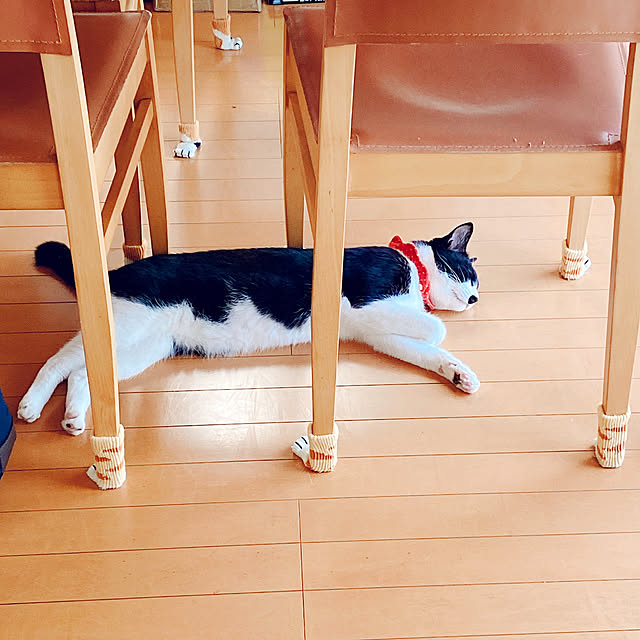 moolさんの実例写真