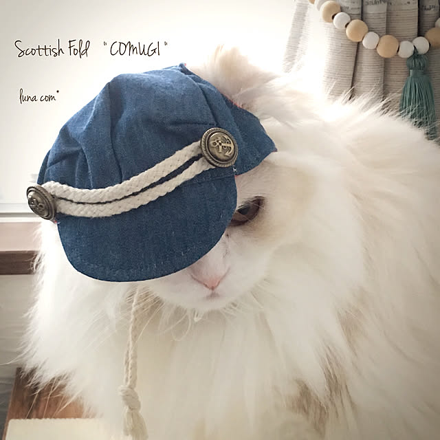 luna.comさんの実例写真