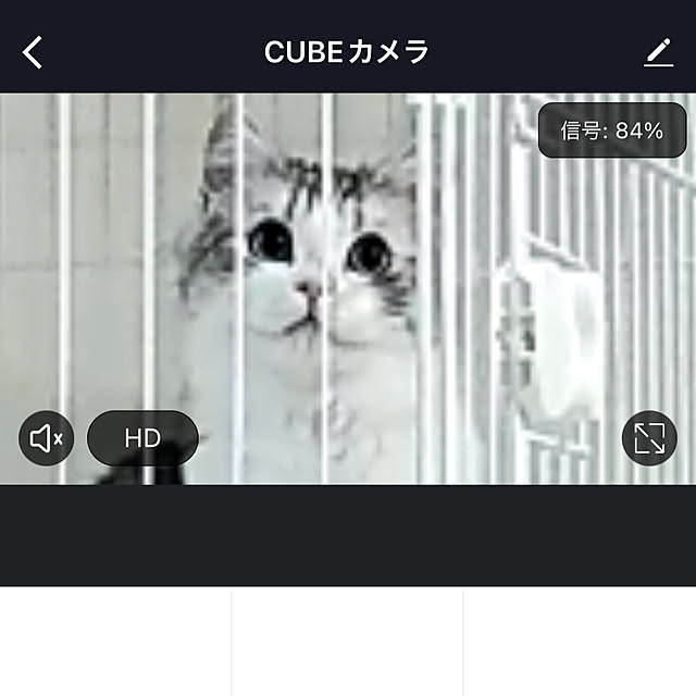 cotoriさんの実例写真