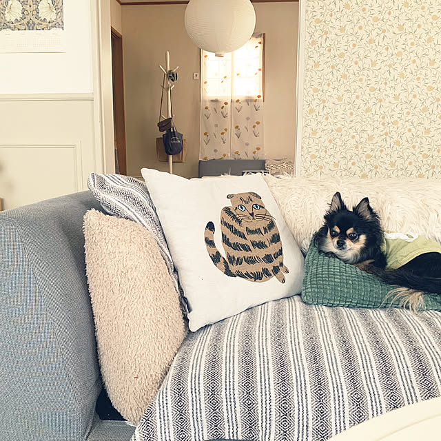 kikiさんの部屋