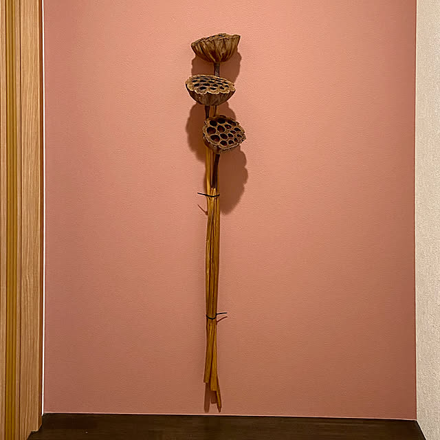 runmalgoさんの実例写真