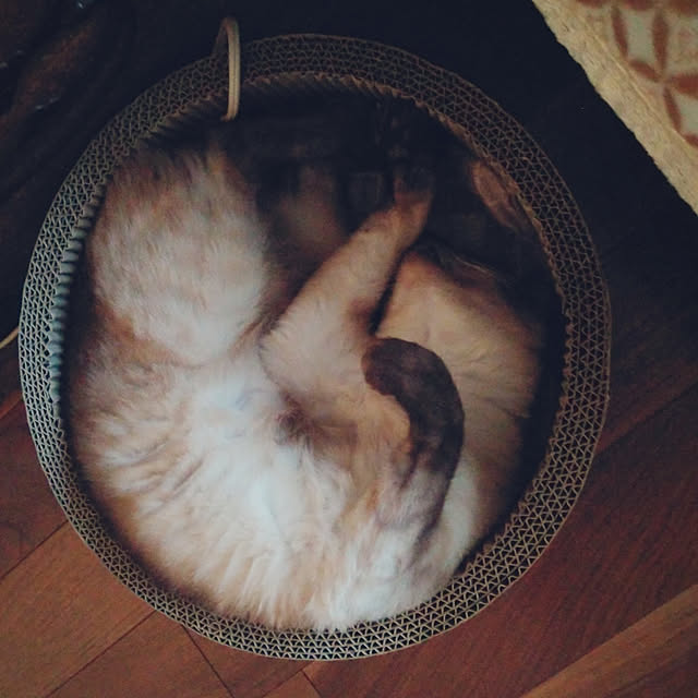 2200さんの実例写真