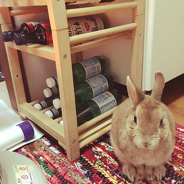 mimichankさんの実例写真