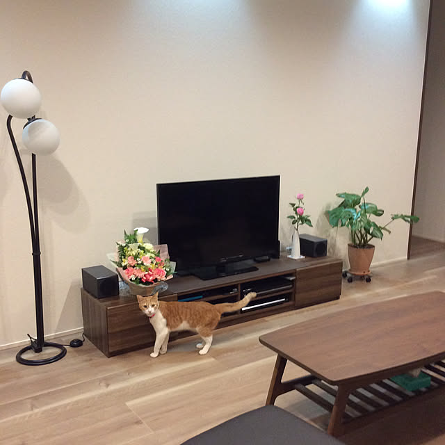 houenさんの実例写真