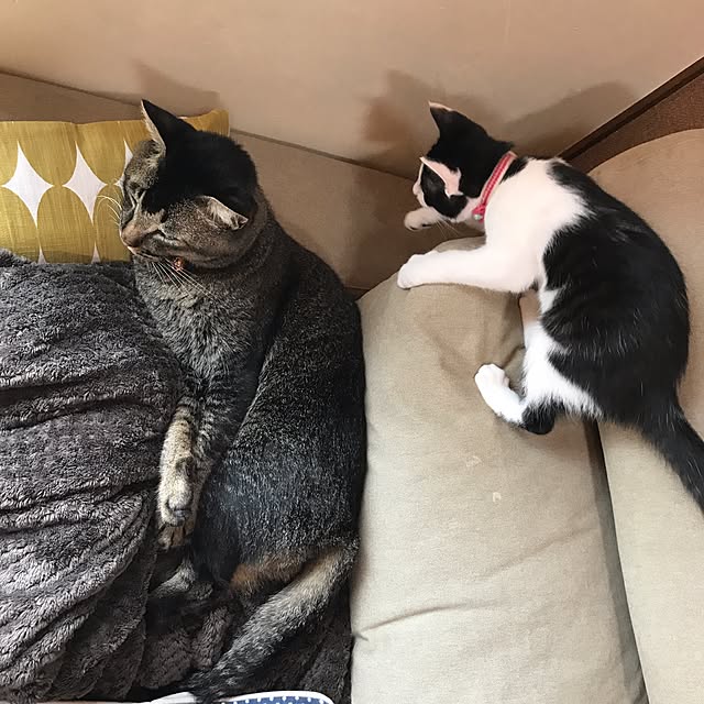 noraさんの実例写真