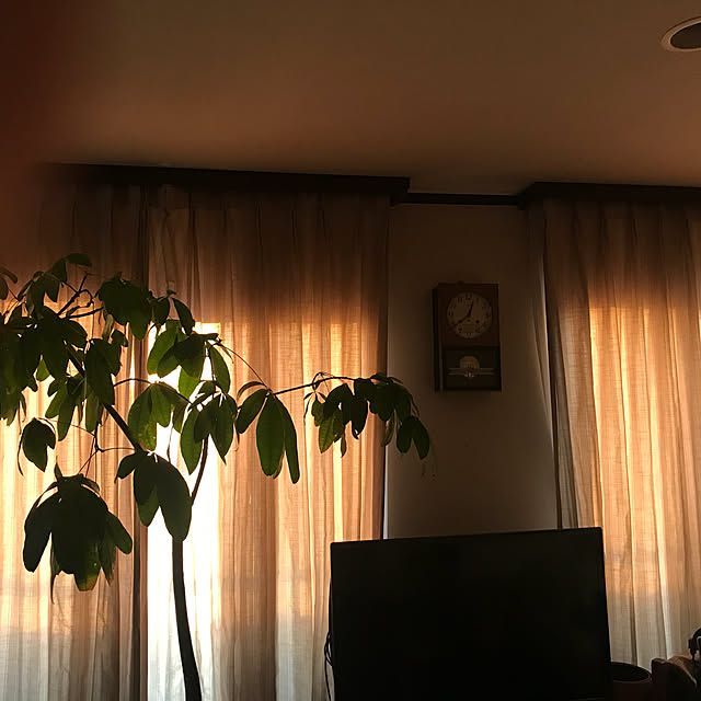 asaさんの実例写真