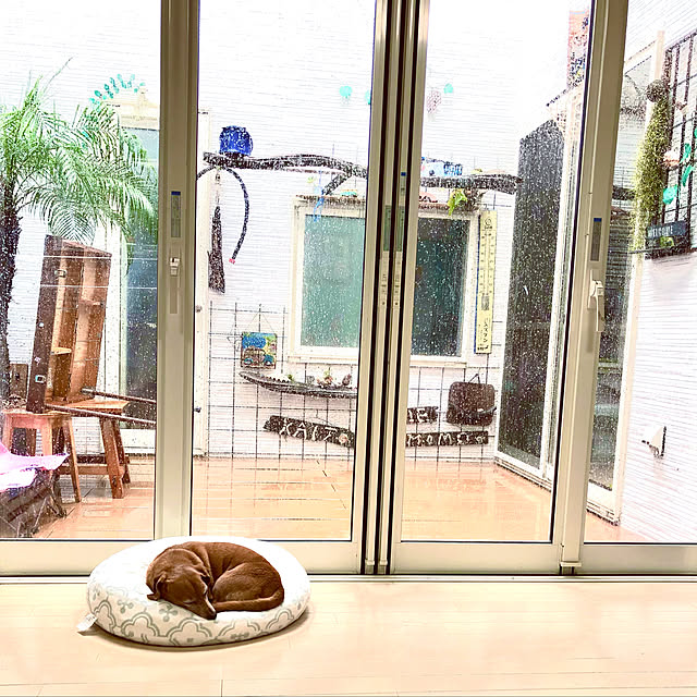 Yukoさんの実例写真
