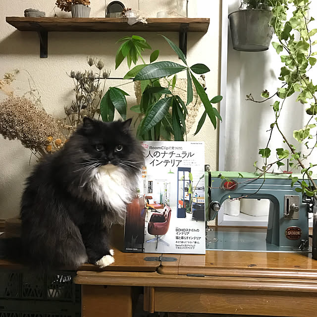 mucc08さんの実例写真