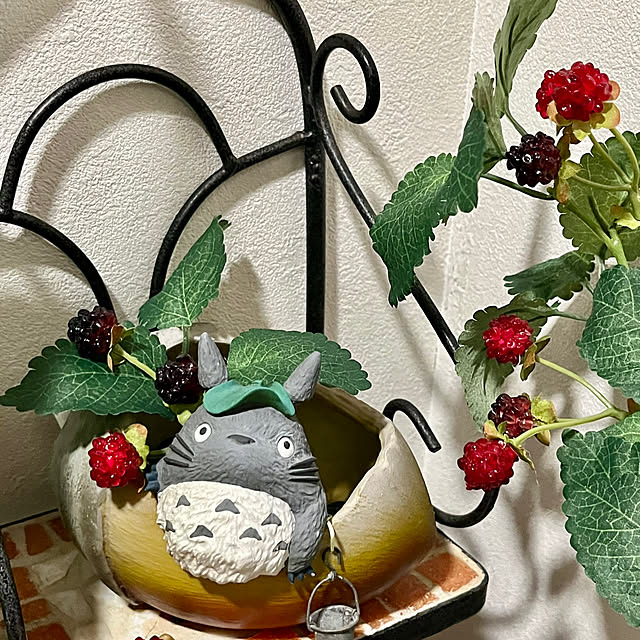 cotaさんの部屋