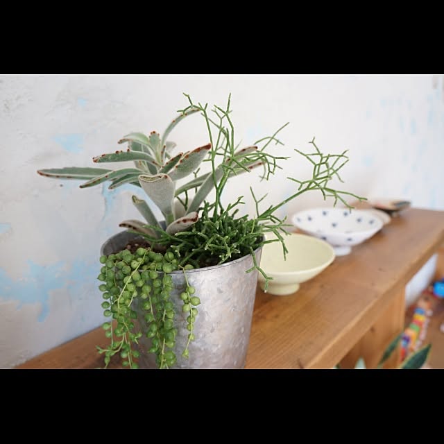 GardenGalleryさんの実例写真