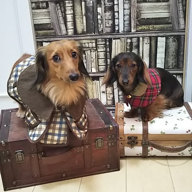 H.Sさんの実例写真