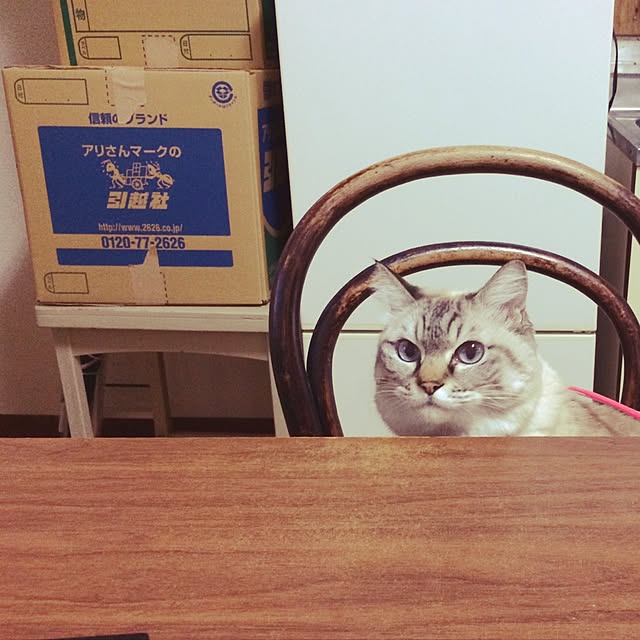 aicon26さんの実例写真