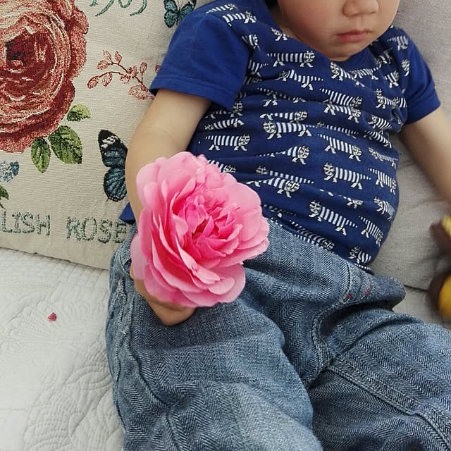 noraさんの実例写真